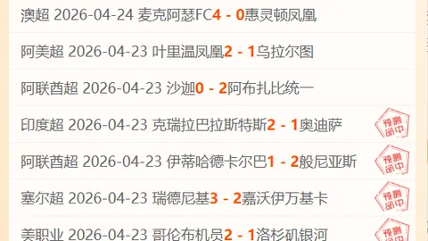 “球迷倡议：探讨球迷股权购买与门票价格稳定方案”