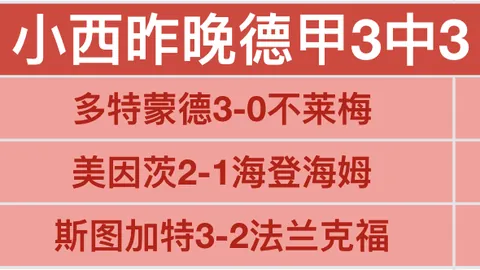 揭秘焦点对决！凤凰与墨再燃激情，数据揭秘胜利密码！